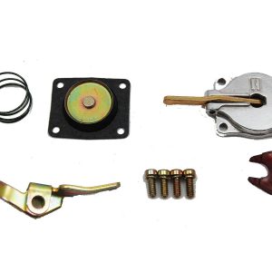 30cc Accelerator Pump Kit AED5570