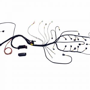 Wiring Harness GM LS Engine AEM30-3801