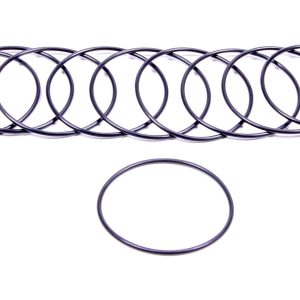 Filter O-Rings (10) AFS12001