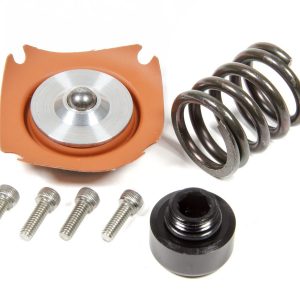 Regulator Rebuild Kit - 13305 35-75psi .313 Seat AFS13015