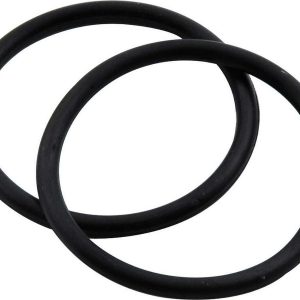 Fuel Filter O-Ring 2pk ALL40237