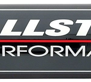 Fuel Filter 8in -12 Stainless Element ALL40242
