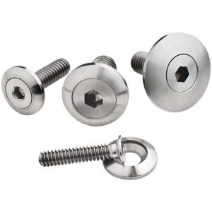 5/16-18 x 1in SS Bolts Pair BSP66115