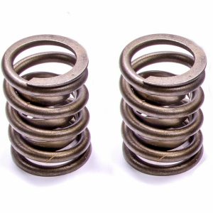 Valve Springs CRN99839-2