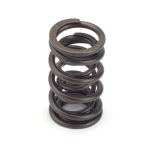 1.250 Valve Springs 8pk Dual CRO68106X208-8