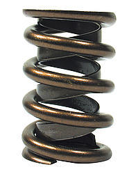 Valve Springs - Dual 1.550 CRO68369-16