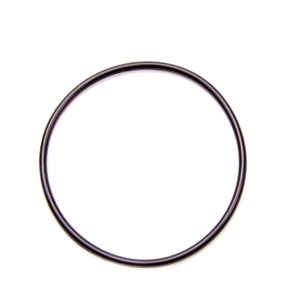 CT1 O-Ring for Seal Plate Flange DMIRRC-1004