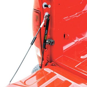 19-   Dodge Ram Tailgate Assist DZZ43302