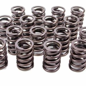1.460in Valve Springs - BBF EDE5767