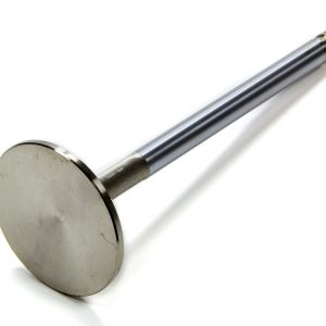 Exhaust Valve - 1.810 (1) EDE93776