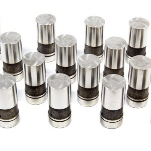 Hydraulic Lifter - Ford V8 ELGHL-1900-16