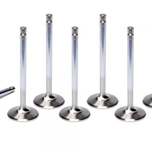 BBF C/6 1.760 Exhaust Valves FERF6258-8