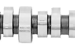 5.0L Roller Camshaft FRDM6250-F303