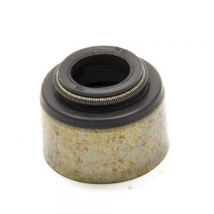Valve Stem Oil Seal - SBC LT4 GMP10212810