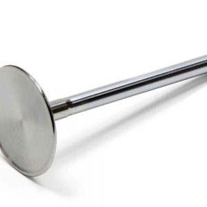 Intake Valve GMP12555331