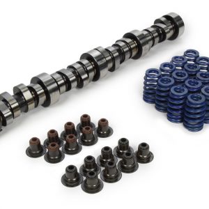 Camshaft Kit - LS1 Hyd. Roller GMP19355738