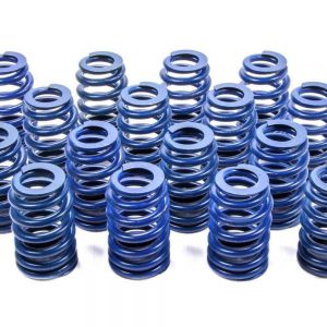 604 Beehive Valve Springs 16 GMP19420455