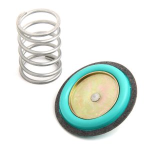 Rebuild Kit for 12-843 Regulator HLY12-824