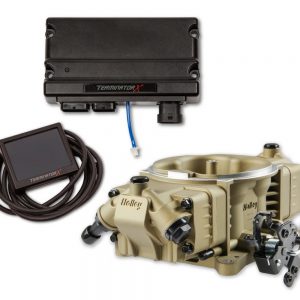 Terninator X Stealth EFI System 4150 - Gold HLY550-1003