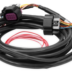 Dominator EFI DBW Harness - Early Truck HLY558-429