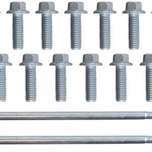 LS Oil Pan Bolt Set Flange Head Bolts ICT551680