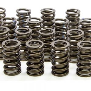 Valve Springs ISK235-D