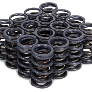 1.240 Dual Valve Springs ISK4205
