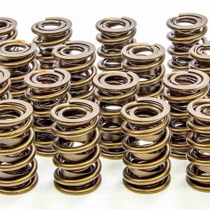 1.530 Valve Springs ISK8005PLUS