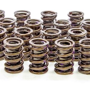 1.560in Valve Springs ISK9385