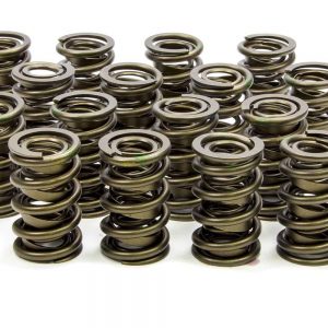 1.534 Valve Springs ISK9925