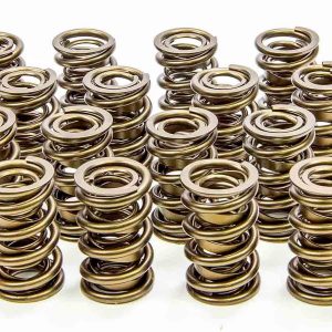 1.560 Valve Springs ISK9985-RAD