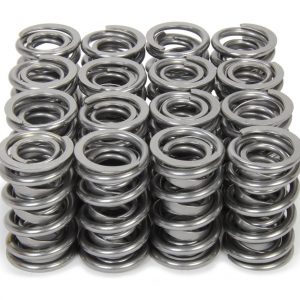 1.570 Dual Valve Spring Set w/Damper (16pk) ISK9987-RADML