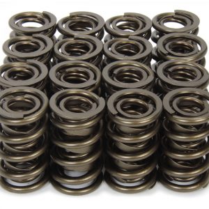 1.570 Valve Springs ISK9989RAD