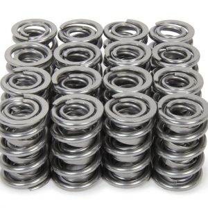 1.600 Dual RAD Valve Springs ISK9996-RADML