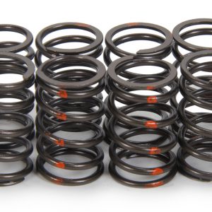 1.095 Valve Springs 16pk Single w/Damper ISKSP006