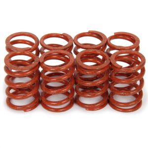 1.095 Valve Spring Set Outer (8pk) ISKVWE005