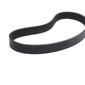 6-Rib Serp. Belt 24.0in KRCGDY4060240