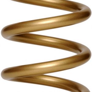 9.5in x 5.5in x 650# Front Spring LANE650