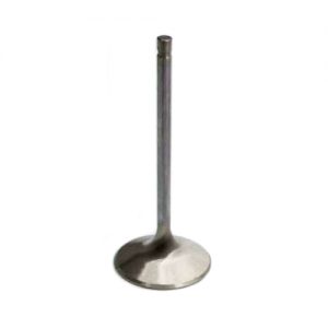 BBC R/M 1.880 Exhaust Valve MAN11761-1
