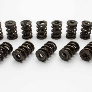 1.500 NexTek Dual Valve Springs MAN221455-16