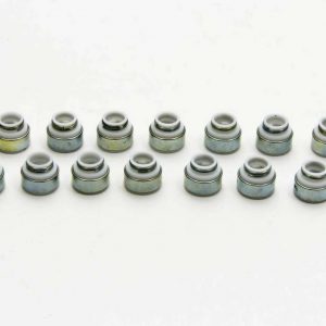 11/32in Teflon Valve Seals .500in MAN24037-16