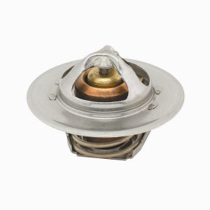 195 Degree Thermostat MRG4365