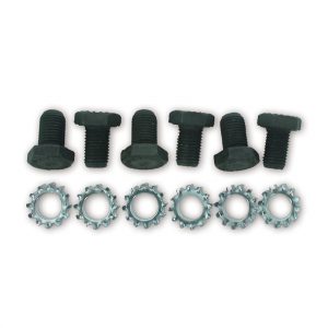 GM Flex Plate Bolts MRG6710
