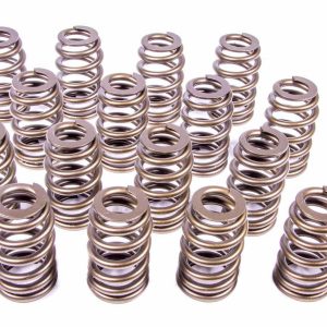 1.290 Valve Springs Ovate Beehive (16) PACPAC-1215