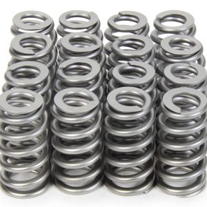 1.290 Valve Springs - Ovate Beehive (16) PACPAC-1218X