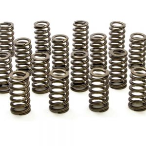 1.445 Valve Springs - Ovate Beehive (16) PACPAC-1220