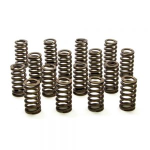 1.345 Valve Springs - Ovate Beehive (16) PACPAC-1232X