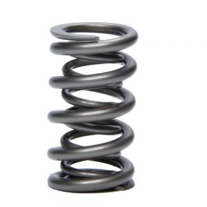 1.274 Dual Valve Spring GM LS (1) PACPAC-1238X-1