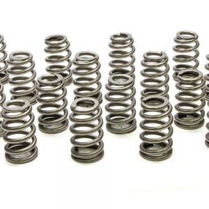 1.445 Valve Springs - Ovate Beehive (16) PACPAC-1255X