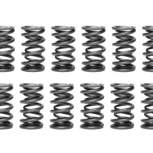 1.500 Dual Valve Springs - (16) PACPAC-1340